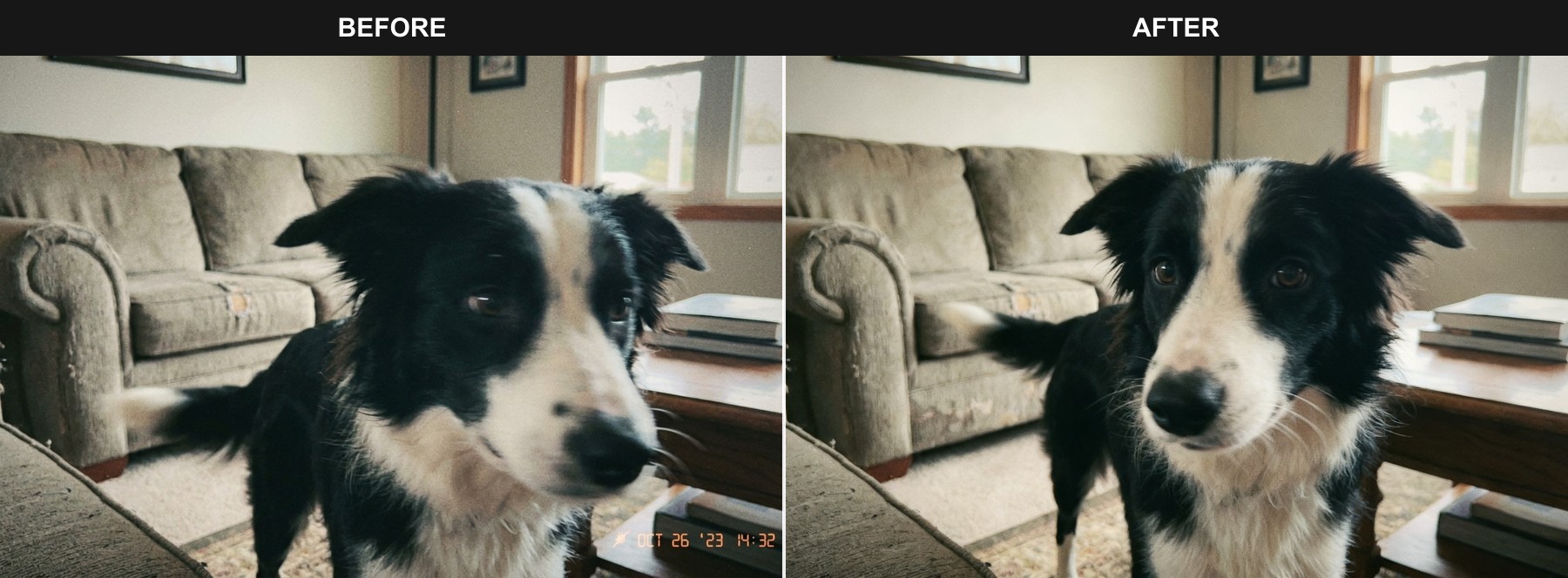 Reduce mild motion blur pet photo before and after example