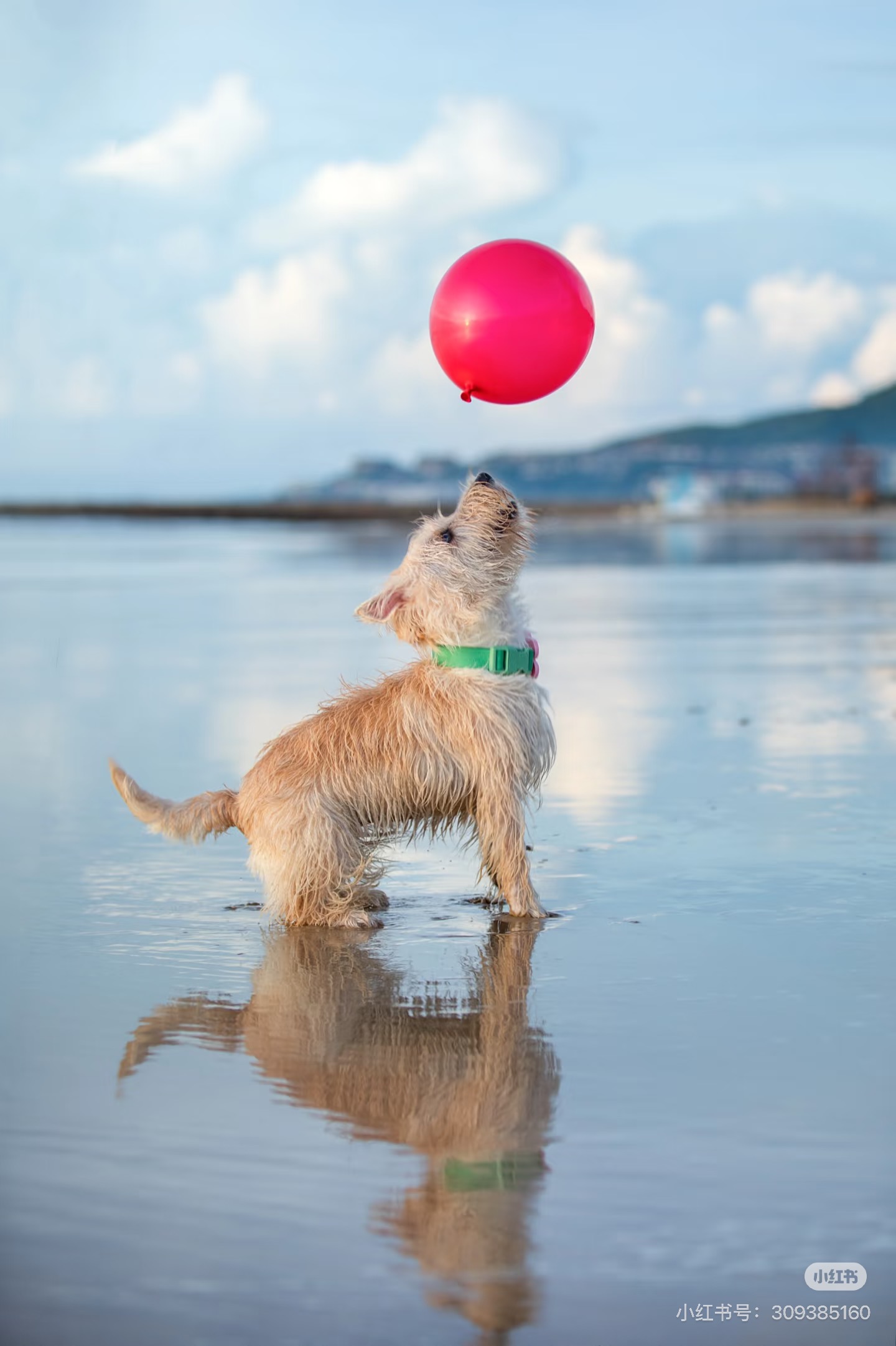 Beach Balloon Play