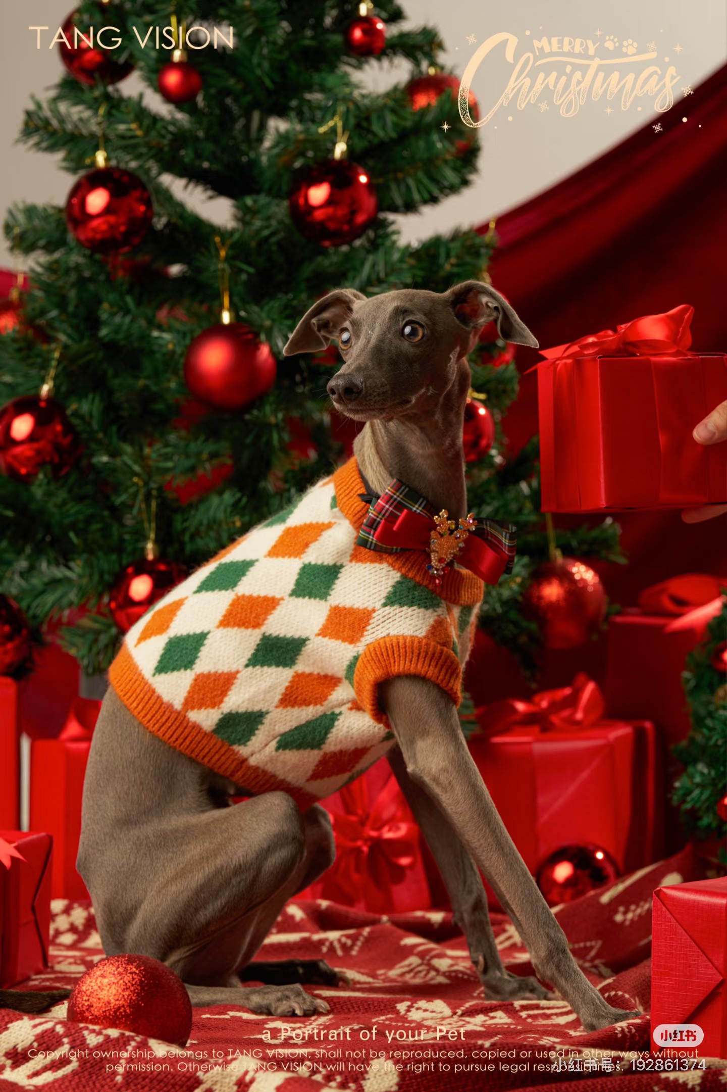 Holiday Gift Portrait